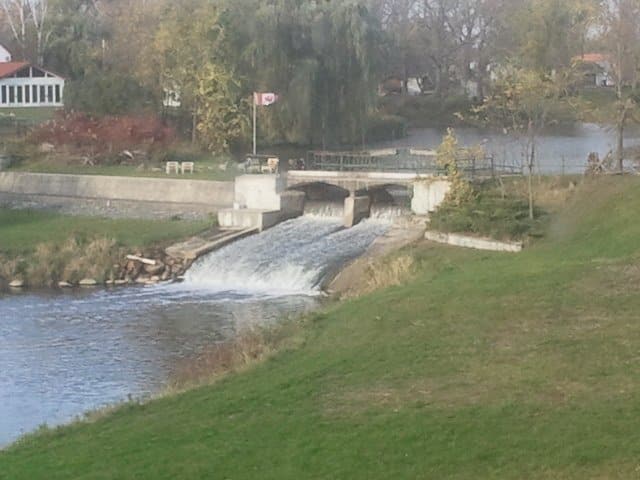 small cement bridge in the middle, small waterfall under the bridge, surrounded by green grass, tall green trees in the back
