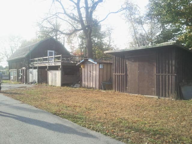 brown cabin, green trees in the background, green and brown grass in the front, grey sidewalk