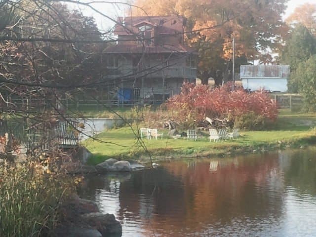 orange, green and red trees, brown cabin with red roof in the background, white patio chairs on green grass, small pond in the front